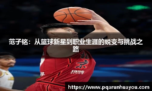 范子铭：从篮球新星到职业生涯的蜕变与挑战之路